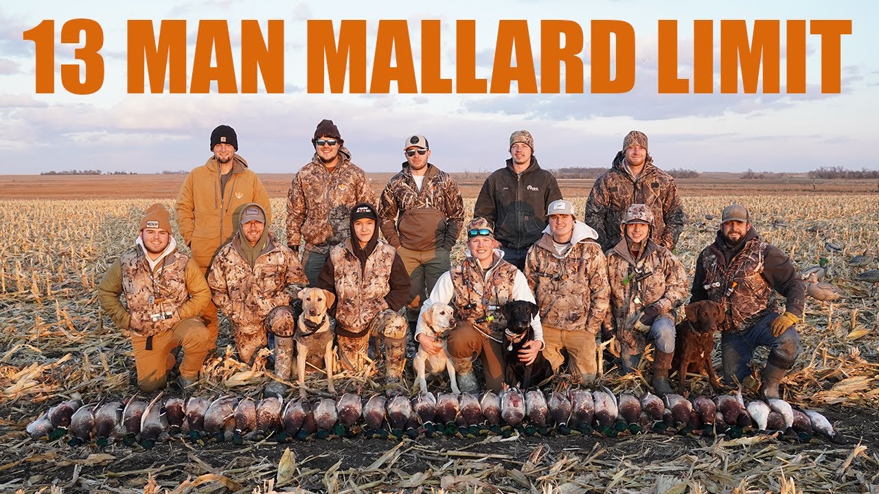 INSANE 13 MAN MALLARD LIMIT (South Dakota Duck Hunting) YouTube