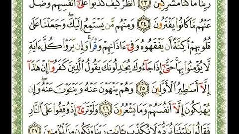 سورة الأنعام   شيرزاد عبد الرحمن طاهر