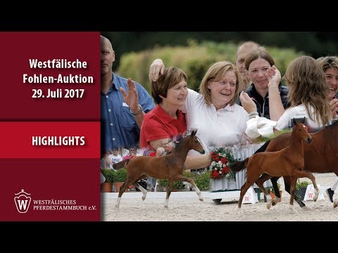 Highlights Westfälische Fohlen-Auktion, 29. 07. 2017