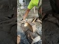 Live highlight