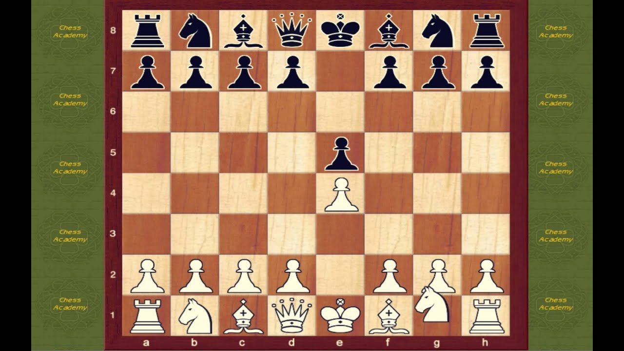 Chess Opening Book Italian Game Opening 