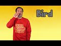 Sign BIRD | ASL for BIRD | BIRD in Sign Language | Sign Language for BIRD