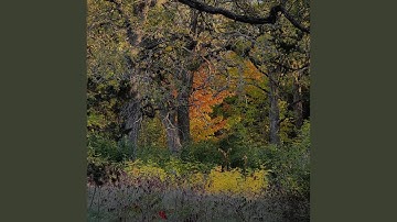 what if it all works out