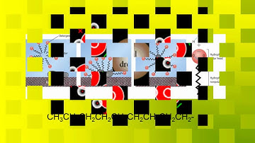 Predicting Solubility
