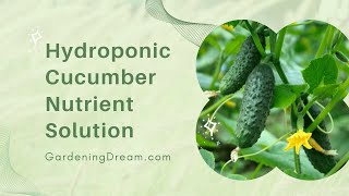 Hydroponic Cucumber Nutrient Solution
