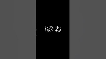 أَتَأمُرونَ النّاسَ بِالبِرِّ || كروما قران كريم شاشة سوداء || ابن محمد اللحيدان