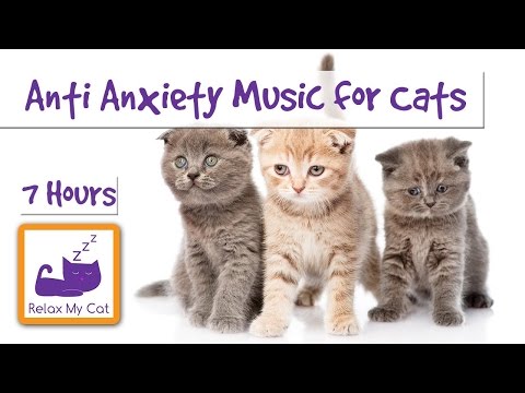 anti anxiety cat music