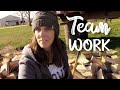 Fixer Upper ~ It Takes Team Work