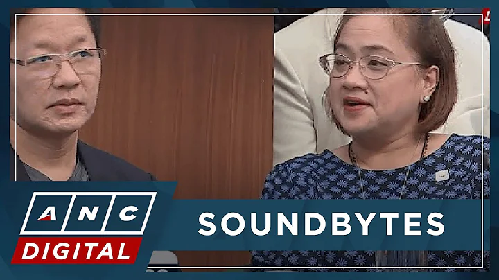 'Nothing to do with Marcos': Lawyer says Discaya's surrender to NBI part of legal strategy | ANC