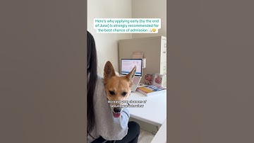 Medical School Application Timeline (2025–2026 Cycle) 🩺✨ Key Dates and Steps!☝🏼