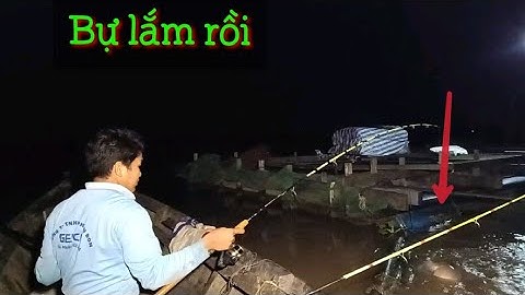 Lủng rộng với ổ cá chép khủng - Câu cá mùa nước đổ T143