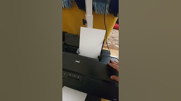FIX EPSON L1800 LOAD TRANSPARENT OR EIADBLE PAPER