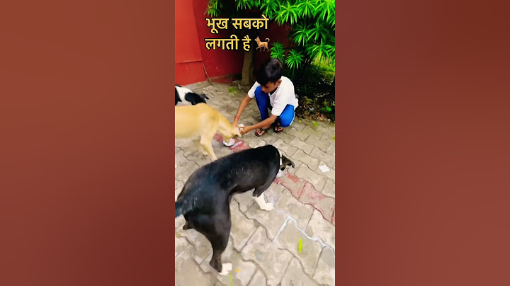 भूख सबको लगती है 🐕🙏