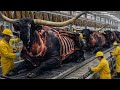 Inside the Bull Leather Factory – Full Process | How Million-Dollar Leather Goods Are Made