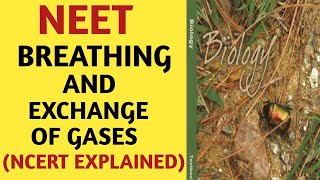 Breathing And Exchange Of Gases /Class 11/NCERT/Chapter 17/Quick Revision Series/NEET/AIIMS/JIPMER