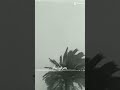 امشيلك بشواطي الليل