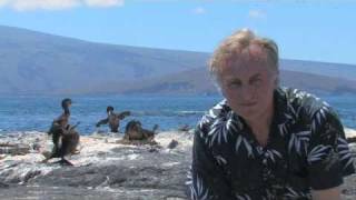 Richard Dawkins: Vestigial Organs: The Wings of the Flightless Cormorant