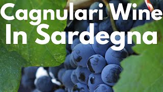 Italy&#39;s Best Kept Wine Secrets Episode 2: Cagnulari Wine In Sardinia