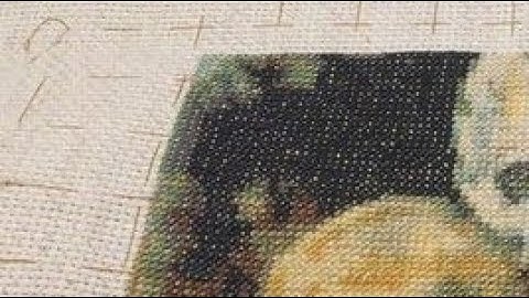 Removing Grid Lines from a Full Coverage Cross Stitch Project -- Flosstube Extra