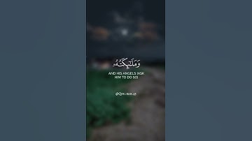 ﴿يا أيها الذين آمنوا ٱذكروا الله ذكرا كثيرا...﴾ تلاوة خاشعة للقارئ الشيخ سعد الغامدي 🍂