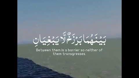 قرآن الكريم بصوت عمير شميم 😊🖤 اجمل حالات واتس اب دينية سورة الرحمن 🎧مرج البحرين يلتقيان..