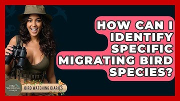 How Can I Identify Specific Migrating Bird Species? - Bird Watching Diaries
