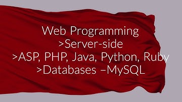 The World of Website Development| A professional Website Development Company