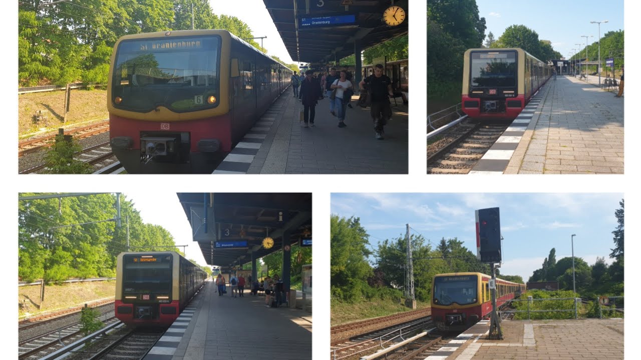 S-Bahn Berlin|Züge am Bahnhof Hohen Neuendorf [S1/S8]