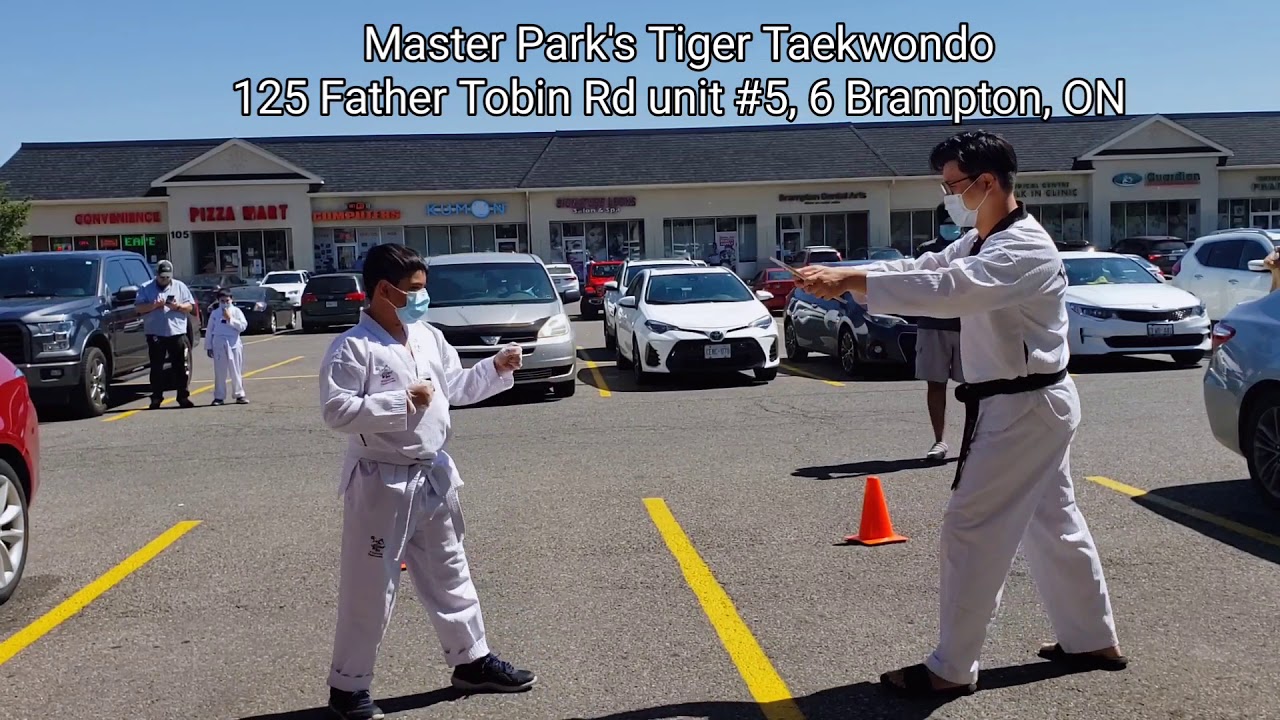 master-park-s-tiger-taekwondo-promotion-test-youtube