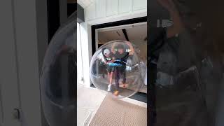 Real Life Hamster Ball Challenge!