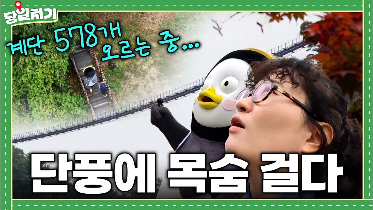 원지랑 스릴 넘치는 단풍놀이 뿌시기 | 얼리버드 반계리 은행나무 | 소금산 출렁다리 | 원주 당일치기 코스 추천 vlog [EP.365](ENG/JPN)