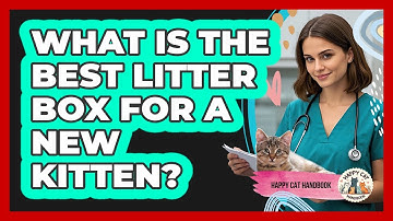 What Is The Best Litter Box For A New Kitten? - Happy Cat Handbook