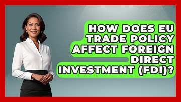 How Does EU Trade Policy Affect Foreign Direct Investment (FDI)? - Making Politics Simple