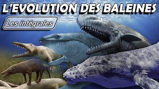 L'évolution des baleines - Intégrale -  Évolution / Paléontologie - Simplex Paléo