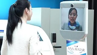 ANA　離陸なし「飛ばす」新事業