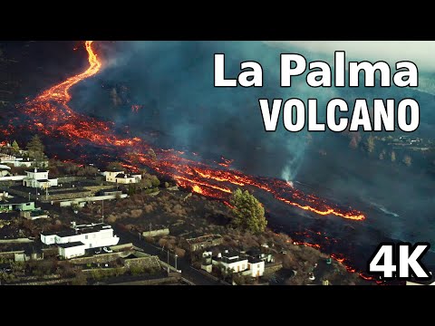 Vídeo: Presagis Populars: Per Què Pica La Palma Dreta?