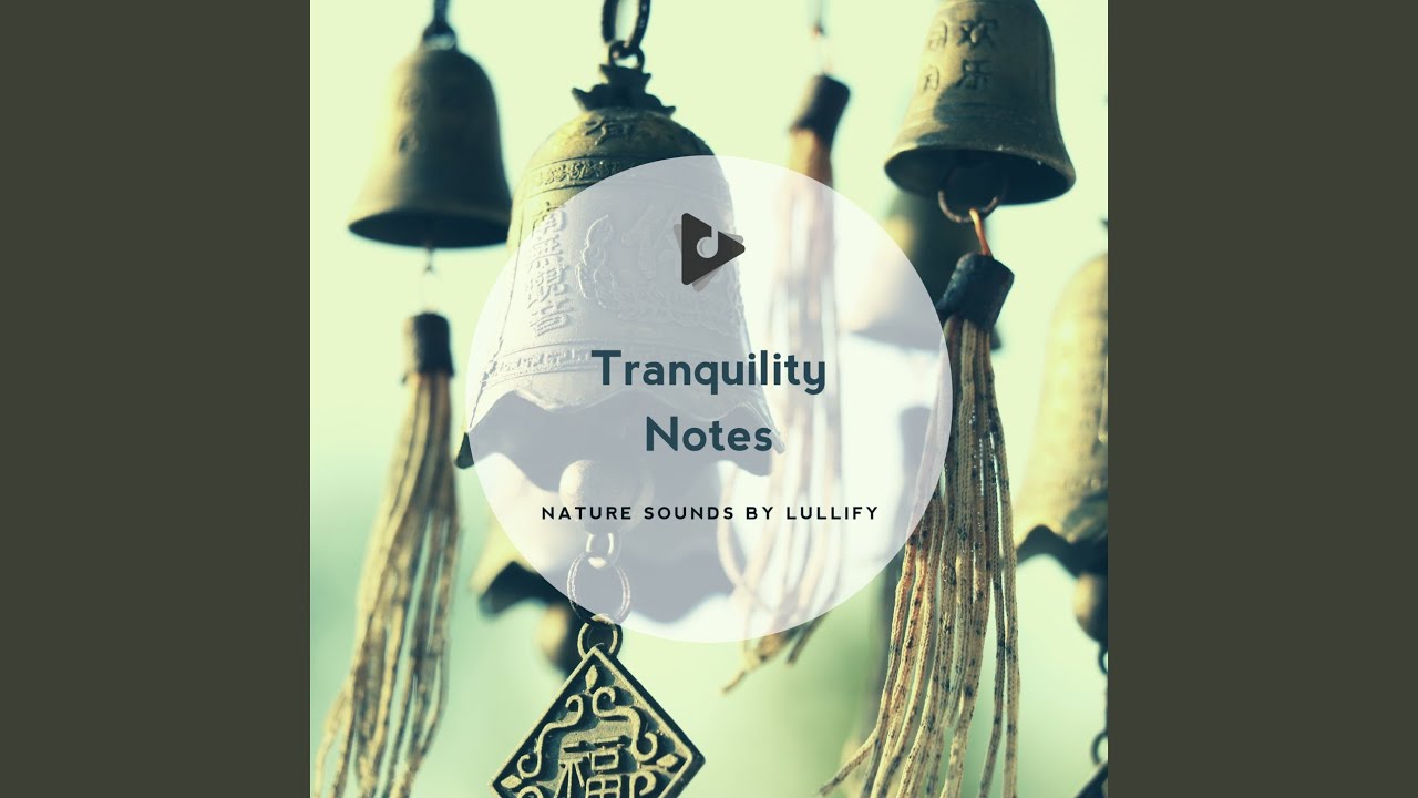 Ver Seashell en YouTube Ver Seashell en YouTube