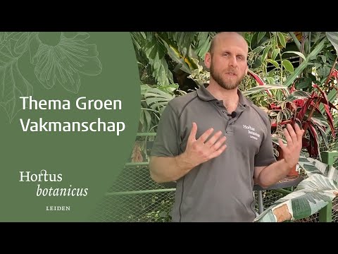 Video: Wat zijn de voordelen van botanicus zijn?