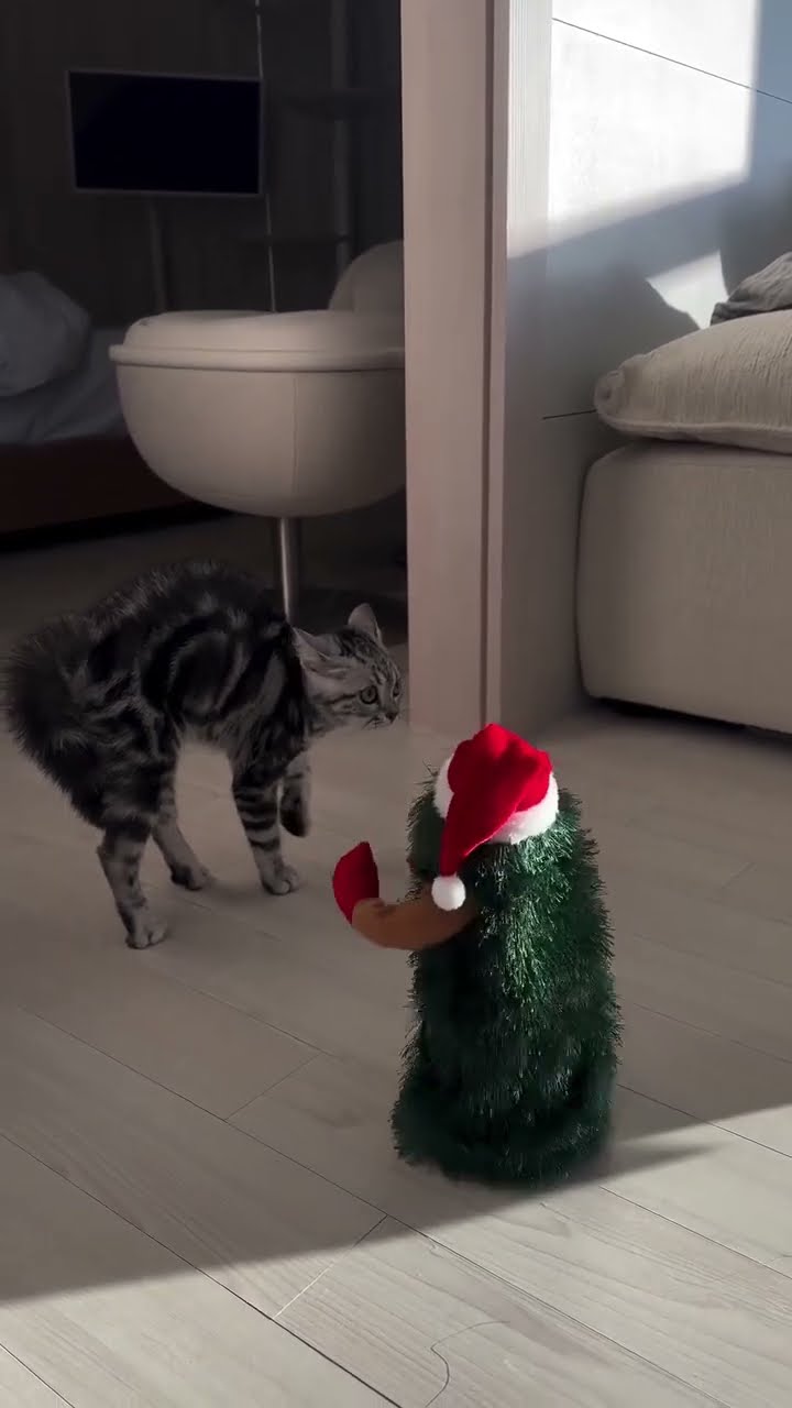 Oupsss..le travail est fait avant Noël ????