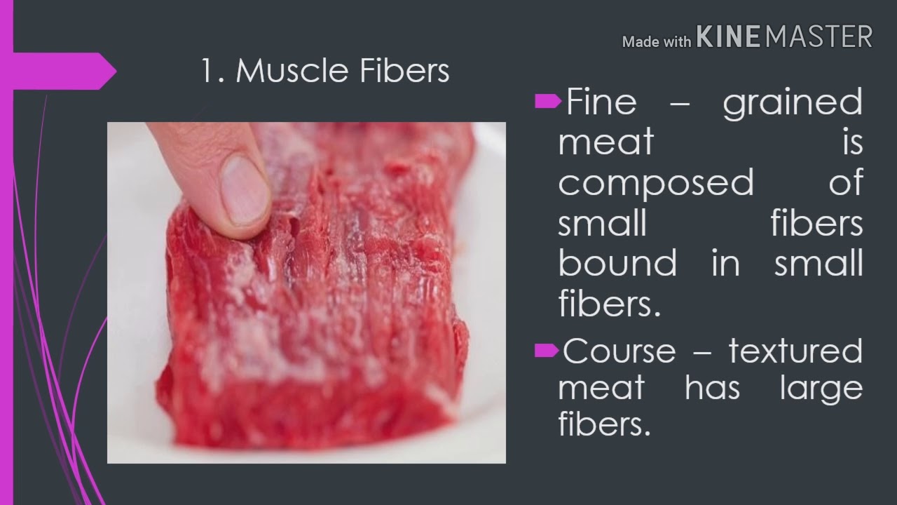 Composition Of Meat Cookery TLE Grade 10 YouTube composition-of-meat-cookery-tle-grade-10-youtube