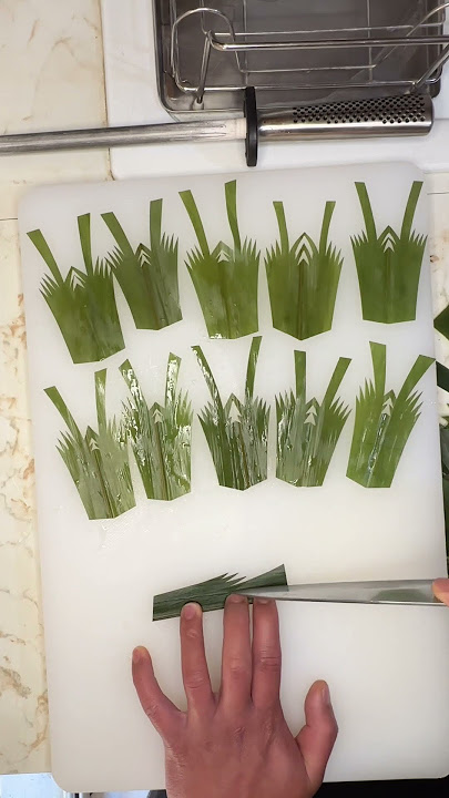 BAMBOO LEAF DECORATION FOR SUSHI | SASAGIRI #decoration #sushi #youtubeshorts #knifeskills