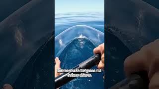 Talasofobia: por qué el mar puede dar tanto miedo