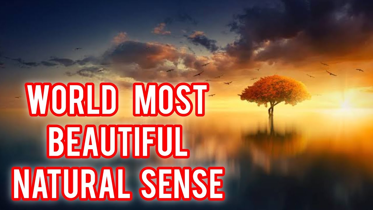 World Most Beautiful Natural Sense - YouTube