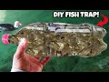 DIY PLASTIC Bottle FISH TRAP!