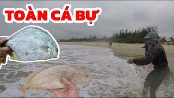 Săn Cá Bờ Biển Gặp Đúng Lúc – Trúng To!