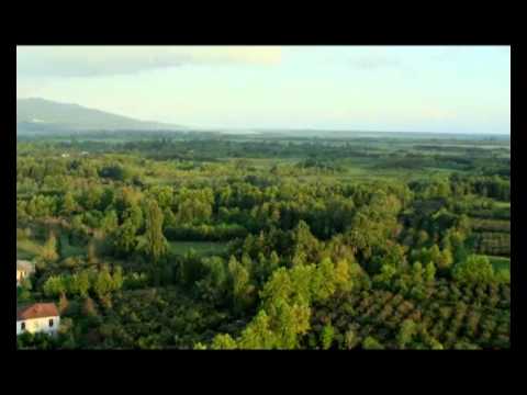 მე მიყვარს სამეგრელო