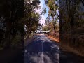 كيف يدير ينساك البال وحبي ليك مازال