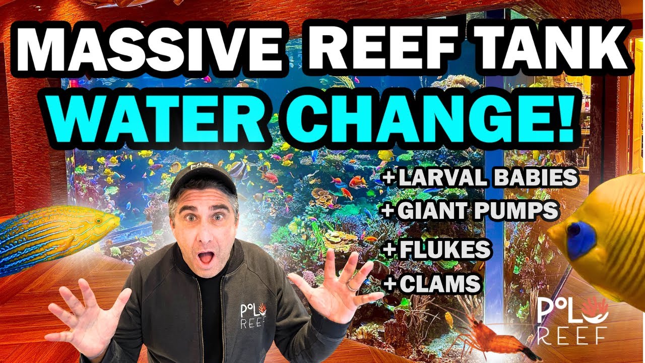 WATER CHANGE ON A 17,000 GALLON AQUARIUM + MORE!