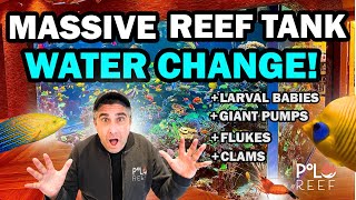 Water Change On A 17,000 Gallon Aquarium More