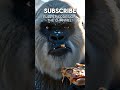 WTF??! #Hilarious #Comedy #Memes #Silly #WTF #bigfoot #Yeti